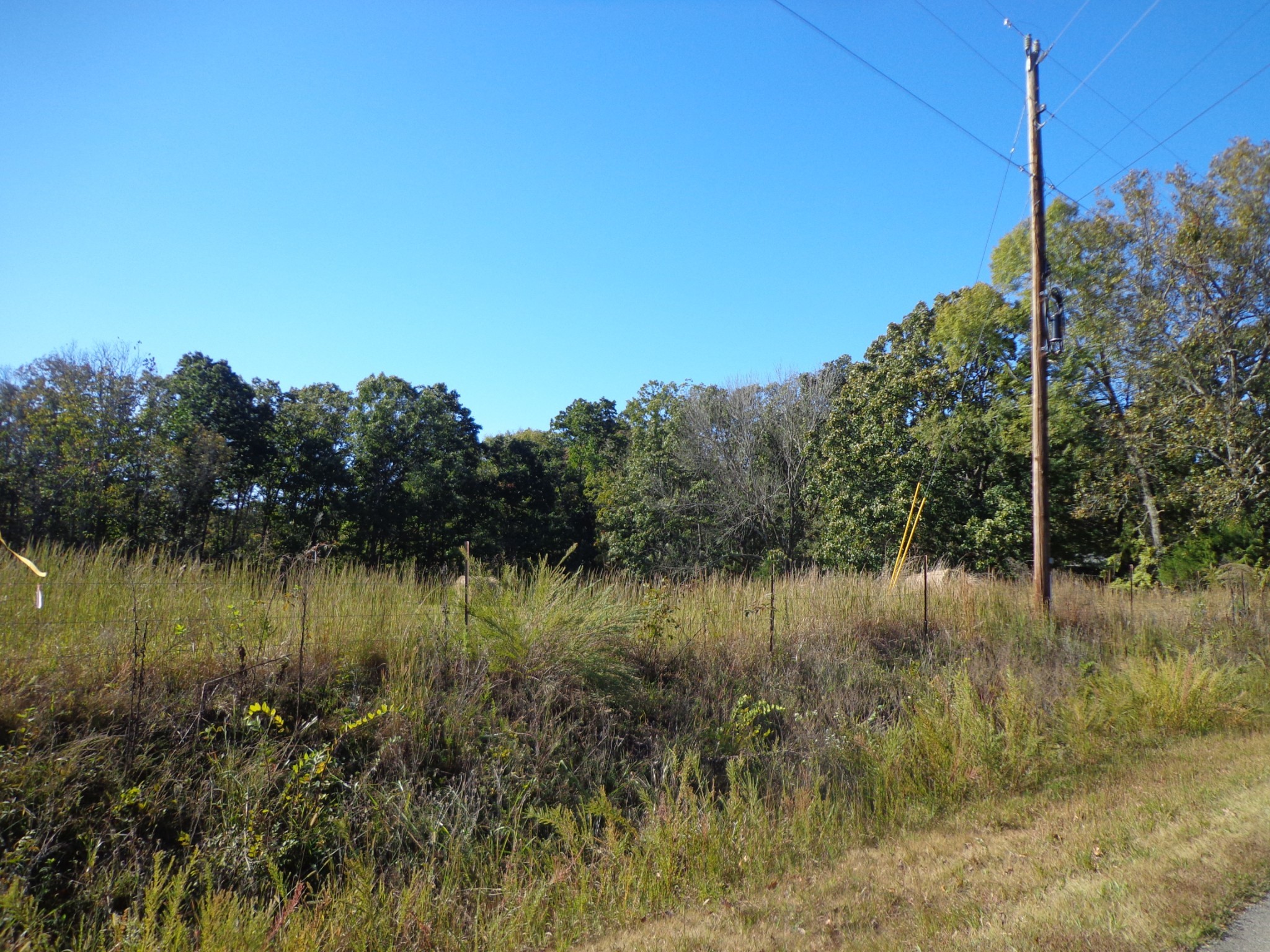 0 Halls Creek Road Waverly TN 37185