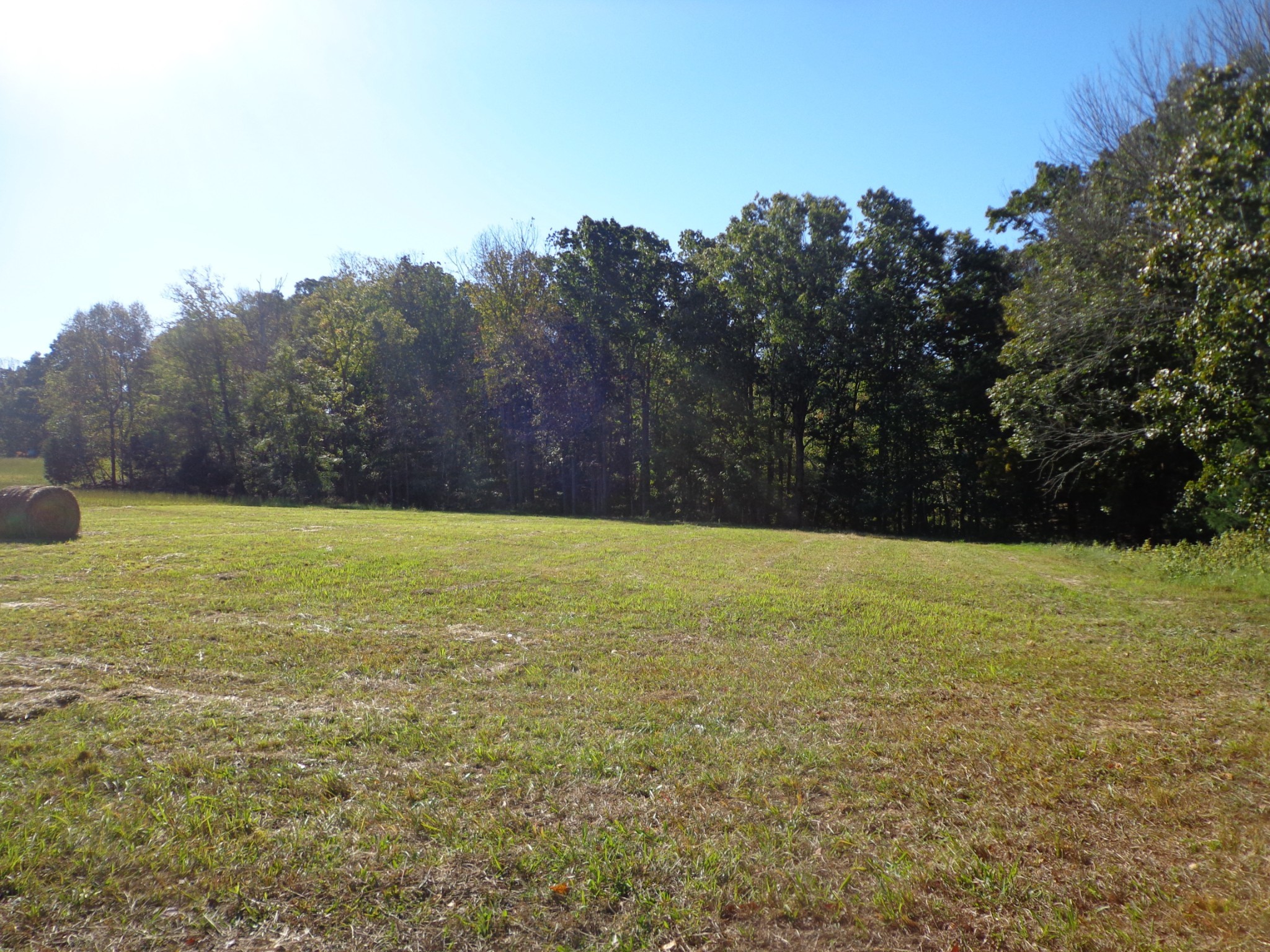 0 Halls Creek Road Waverly TN 37185