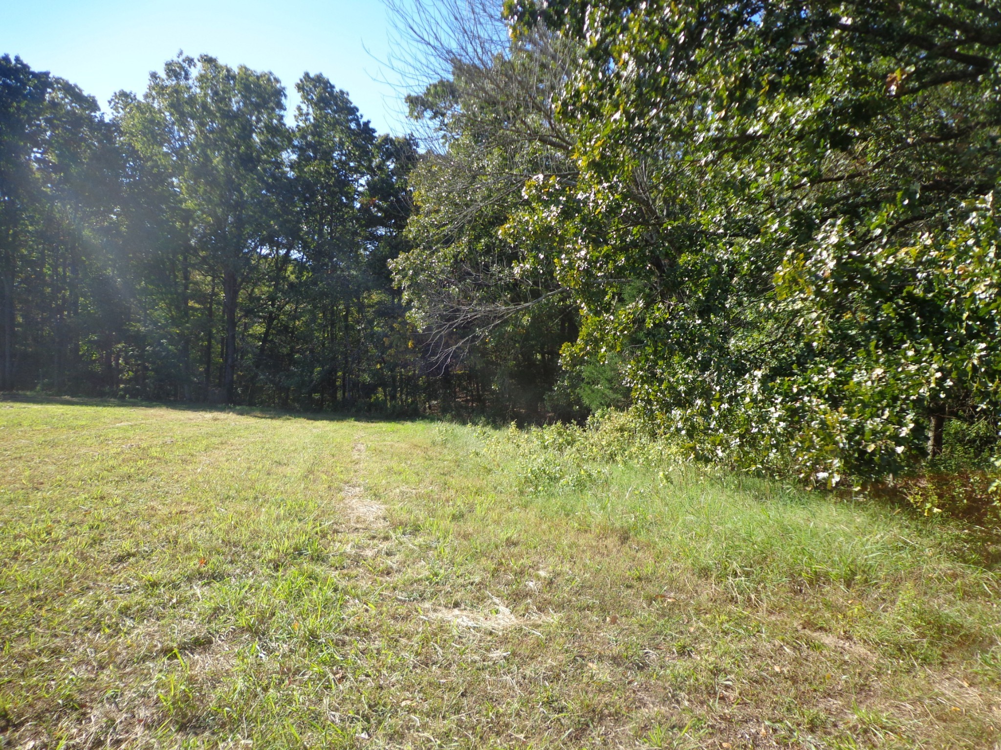 0 Halls Creek Road Waverly TN 37185