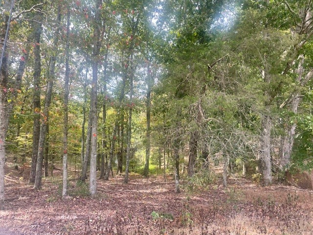 0 Halls Creek Road Waverly TN 37185