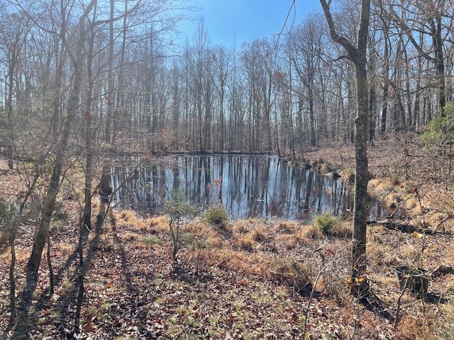 0 Halls Creek Road Waverly TN 37185