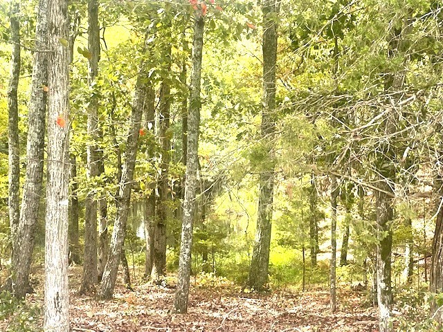 0 Halls Creek Road Waverly TN 37185
