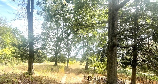 0 Halls Creek Road Waverly TN 37185