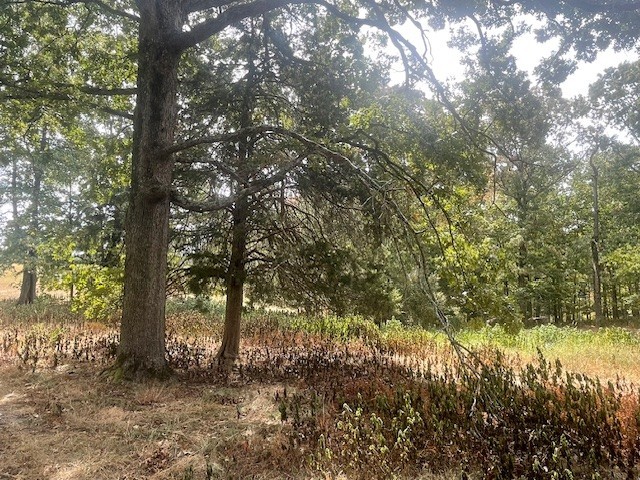 0 Halls Creek Road Waverly TN 37185