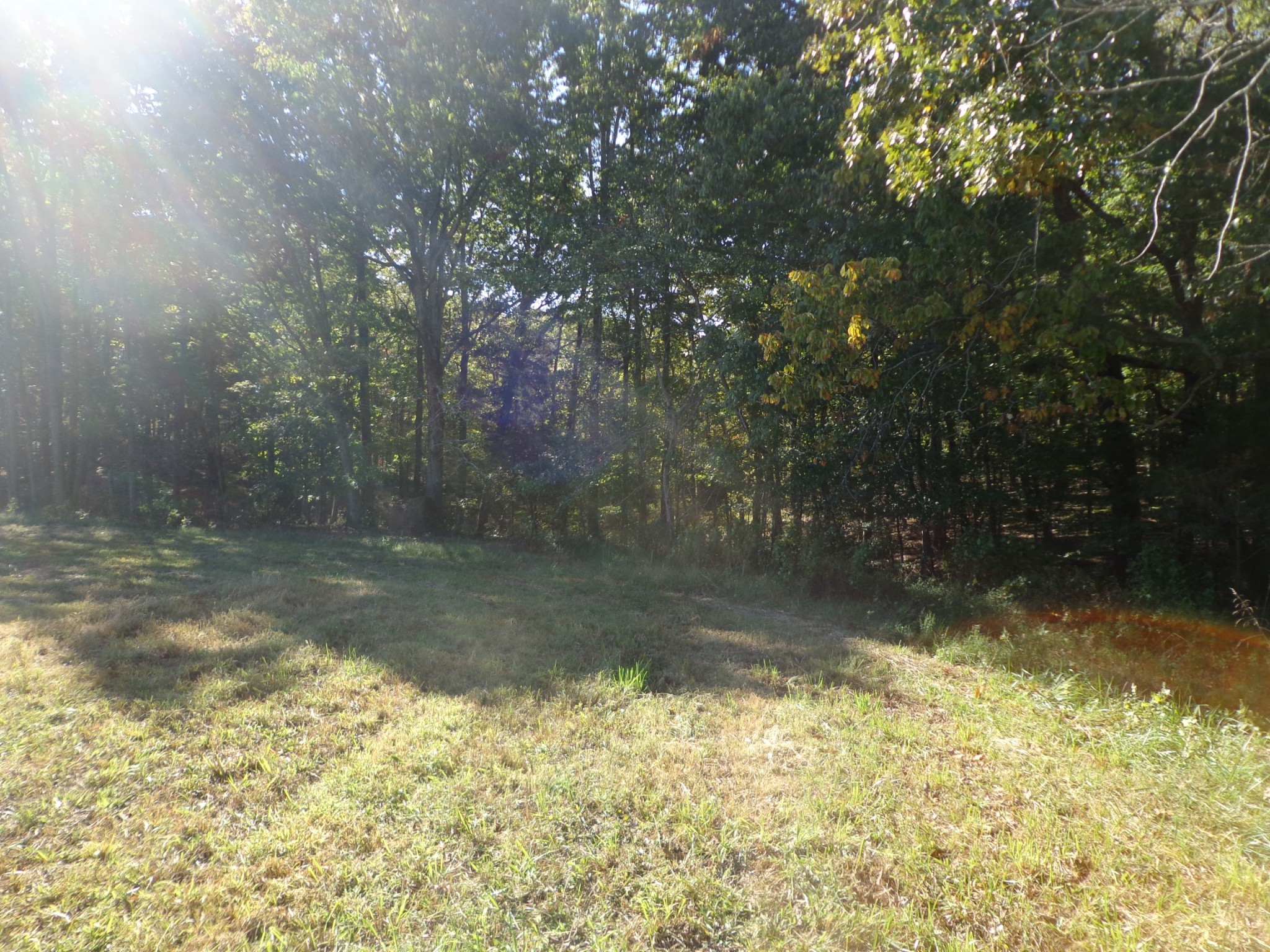 0 Halls Creek Road Waverly TN 37185