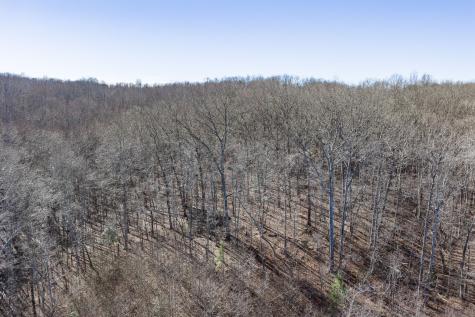 0 Old Altamont Road Tracy City TN 37387