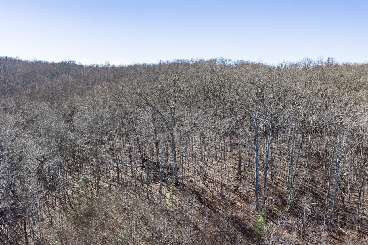 0 Old Altamont Road Tracy City TN 37387