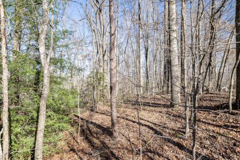 0 Old Altamont Road Tracy City TN 37387