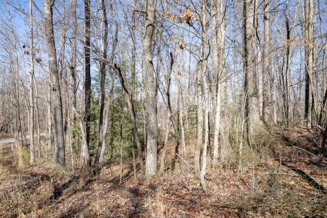 0 Old Altamont Road Tracy City TN 37387