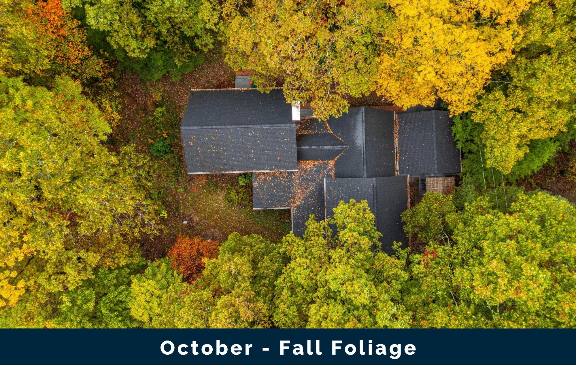 5110 Old Chestnut Ridge Road Signal Mountain TN 37377