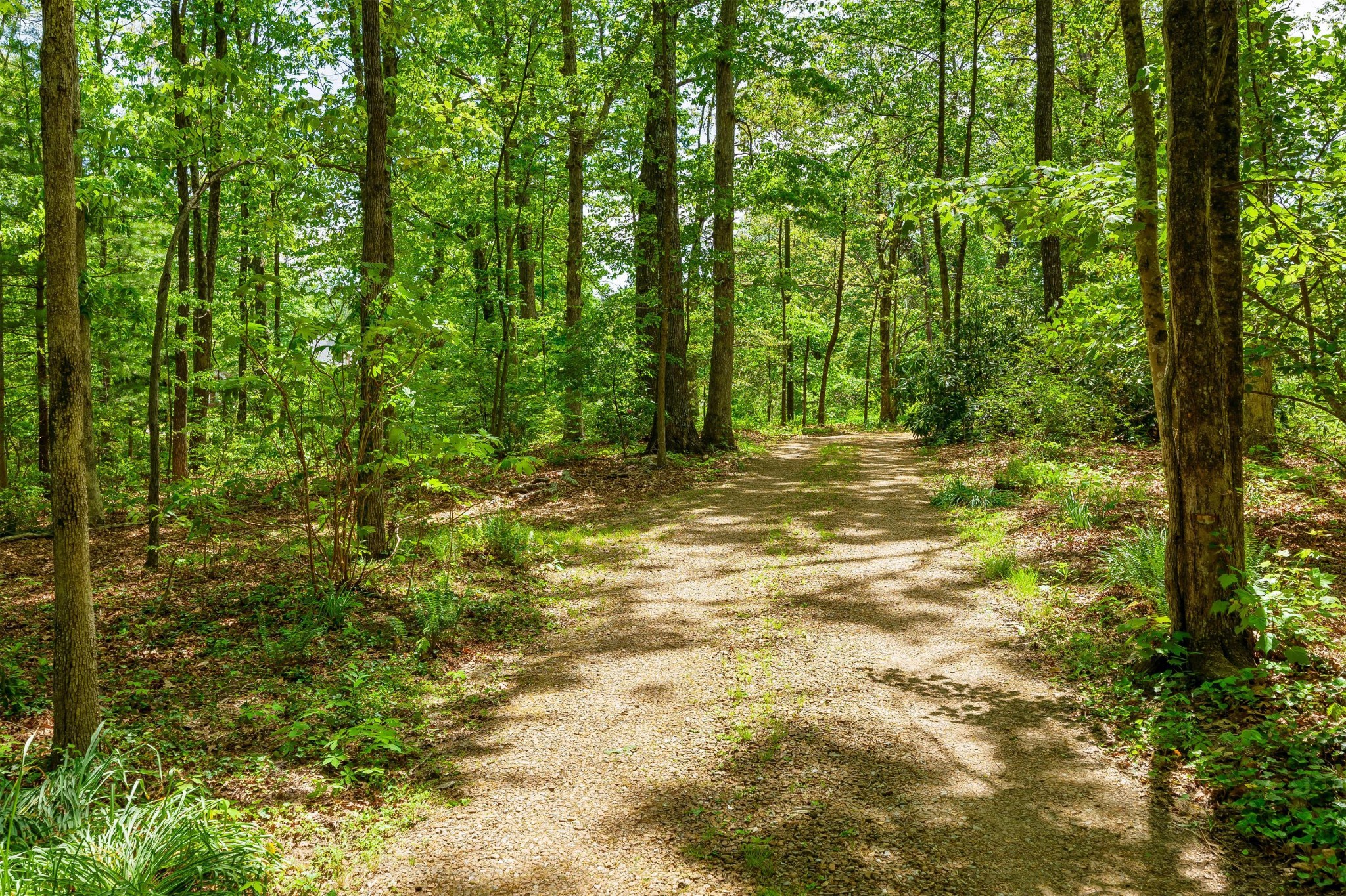 5110 Old Chestnut Ridge Road Signal Mountain TN 37377