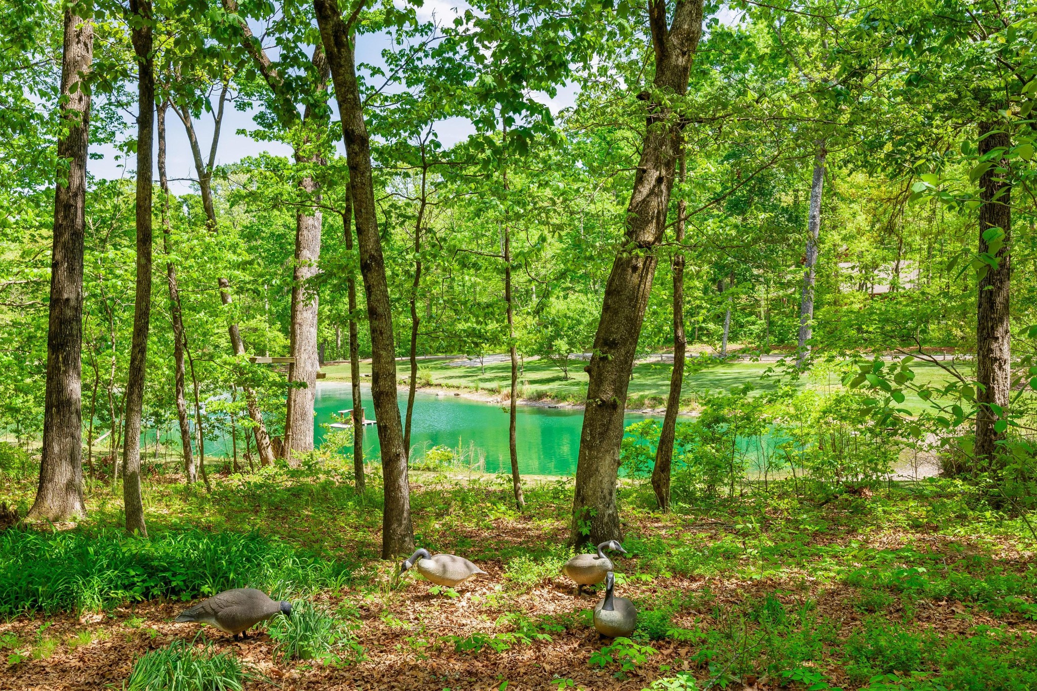 5110 Old Chestnut Ridge Road Signal Mountain TN 37377