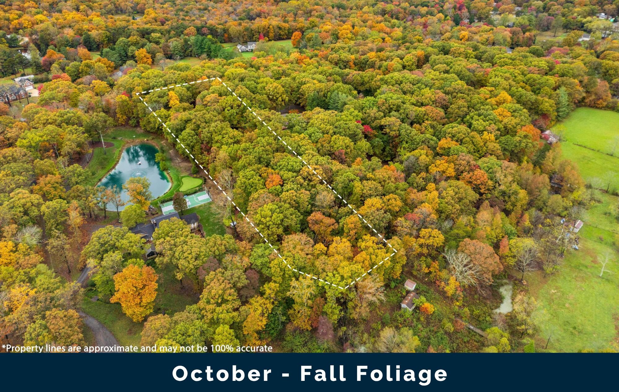5110 Old Chestnut Ridge Road Signal Mountain TN 37377
