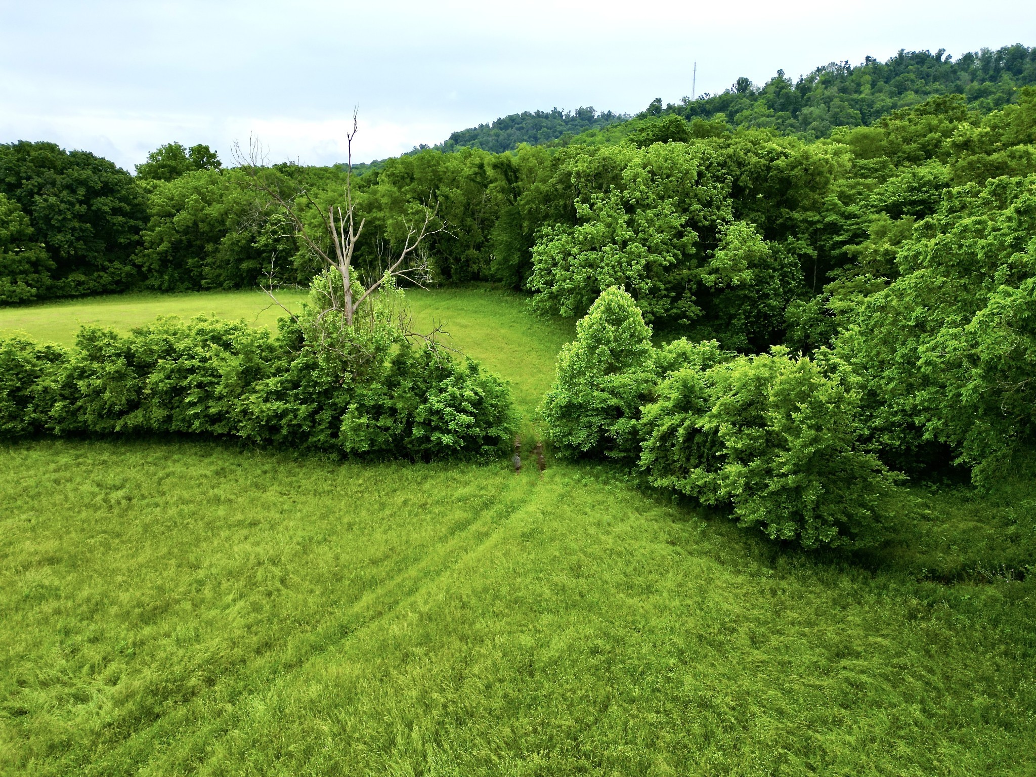 9591 Clovercroft Road Franklin TN 37067