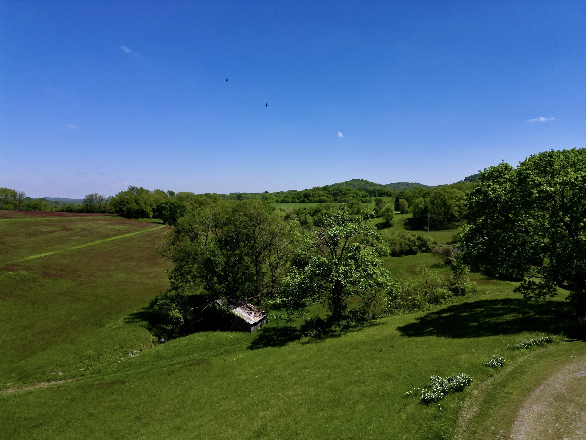 9591 Clovercroft Road Franklin TN 37067