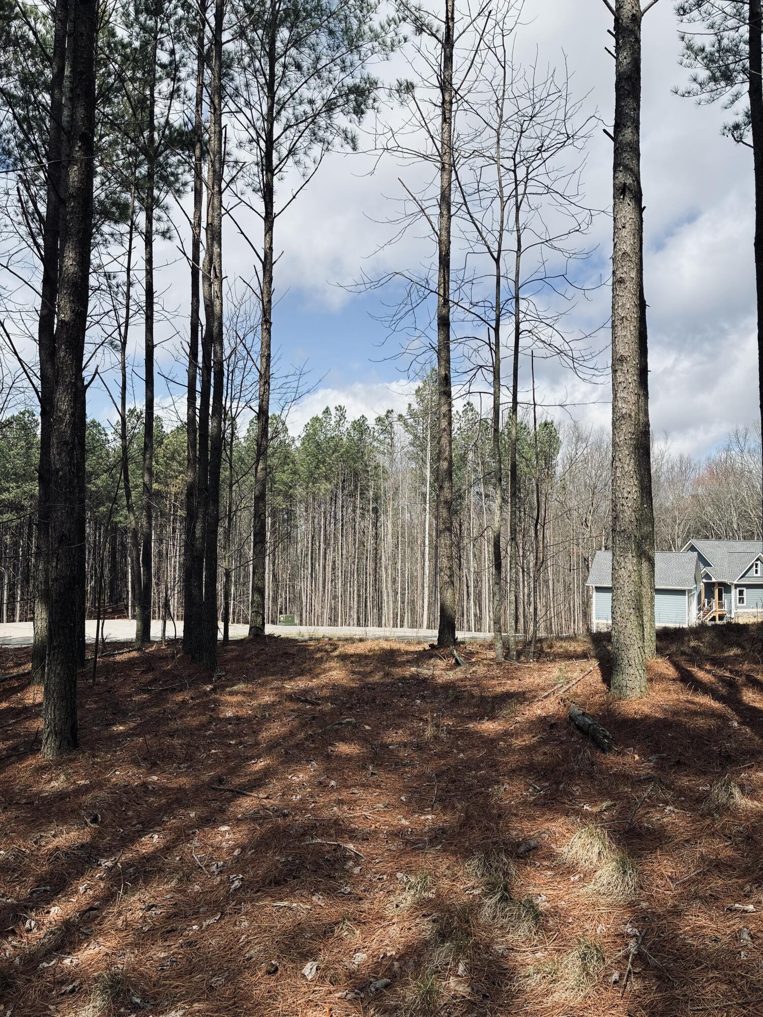 215 Honeybee Court Jasper TN 37347