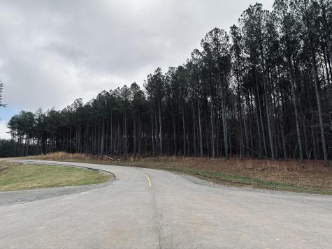 215 Honeybee Court Jasper TN 37347