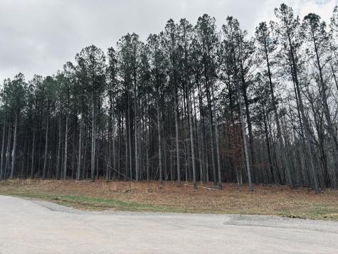 215 Honeybee Court Jasper TN 37347