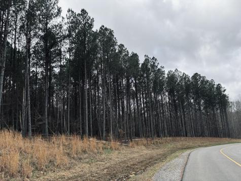 215 Honeybee Court Jasper TN 37347