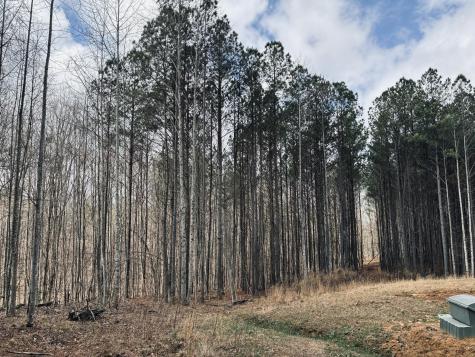 215 Honeybee Court Jasper TN 37347