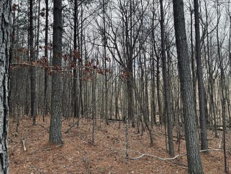 215 Honeybee Court Jasper TN 37347