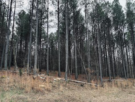 215 Honeybee Court Jasper TN 37347