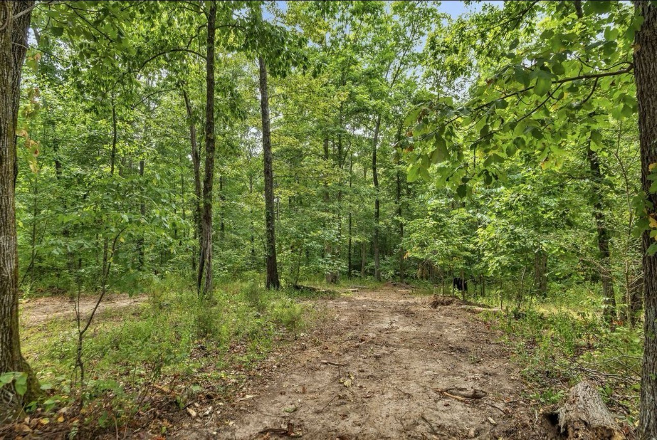 10498 Missionary Ridge Road Bon Aqua TN 37025