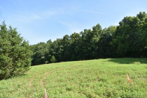 0 Hogans Creek Road Carthage TN 37030