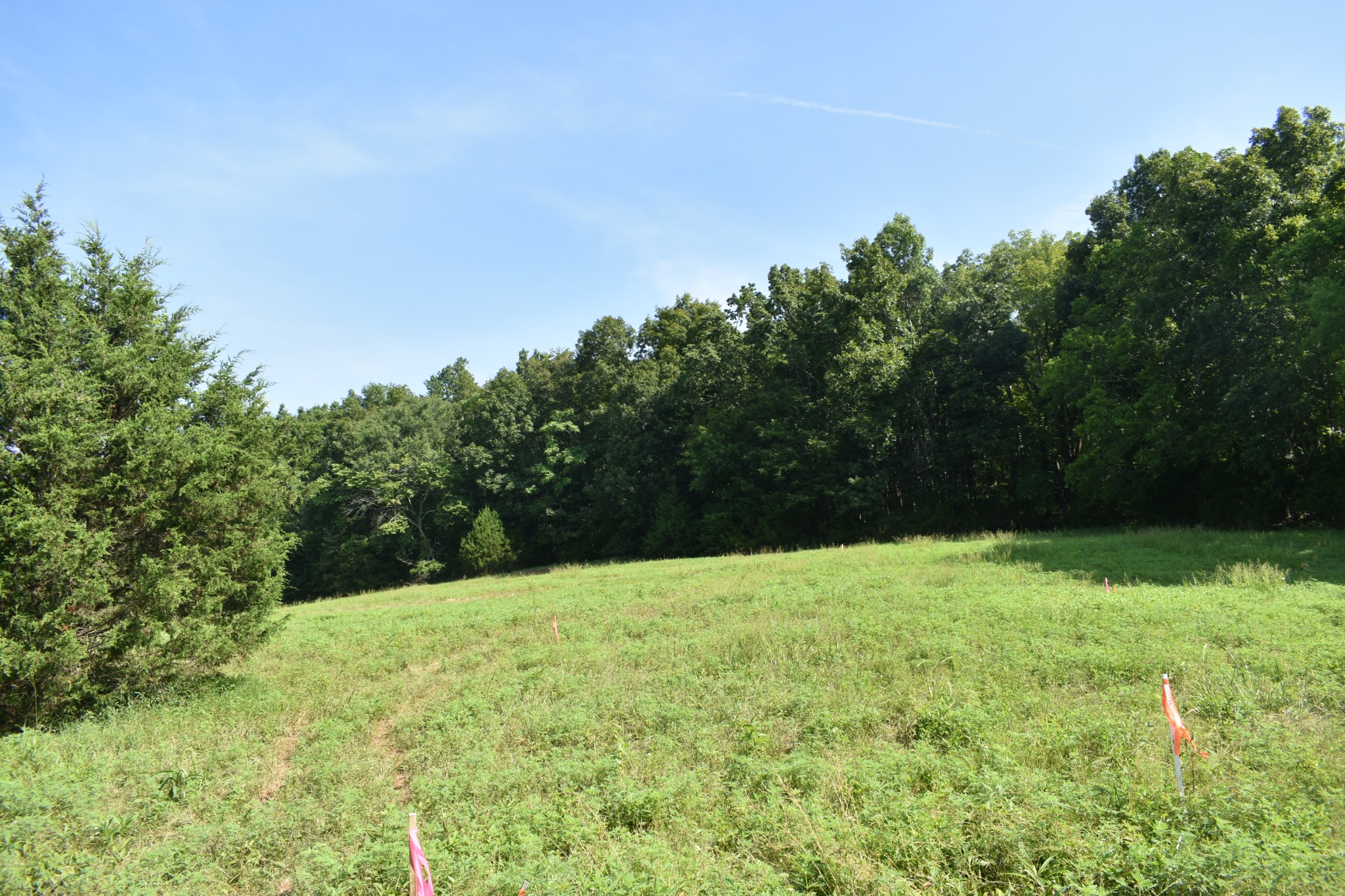 0 Hogans Creek Road Carthage TN 37030
