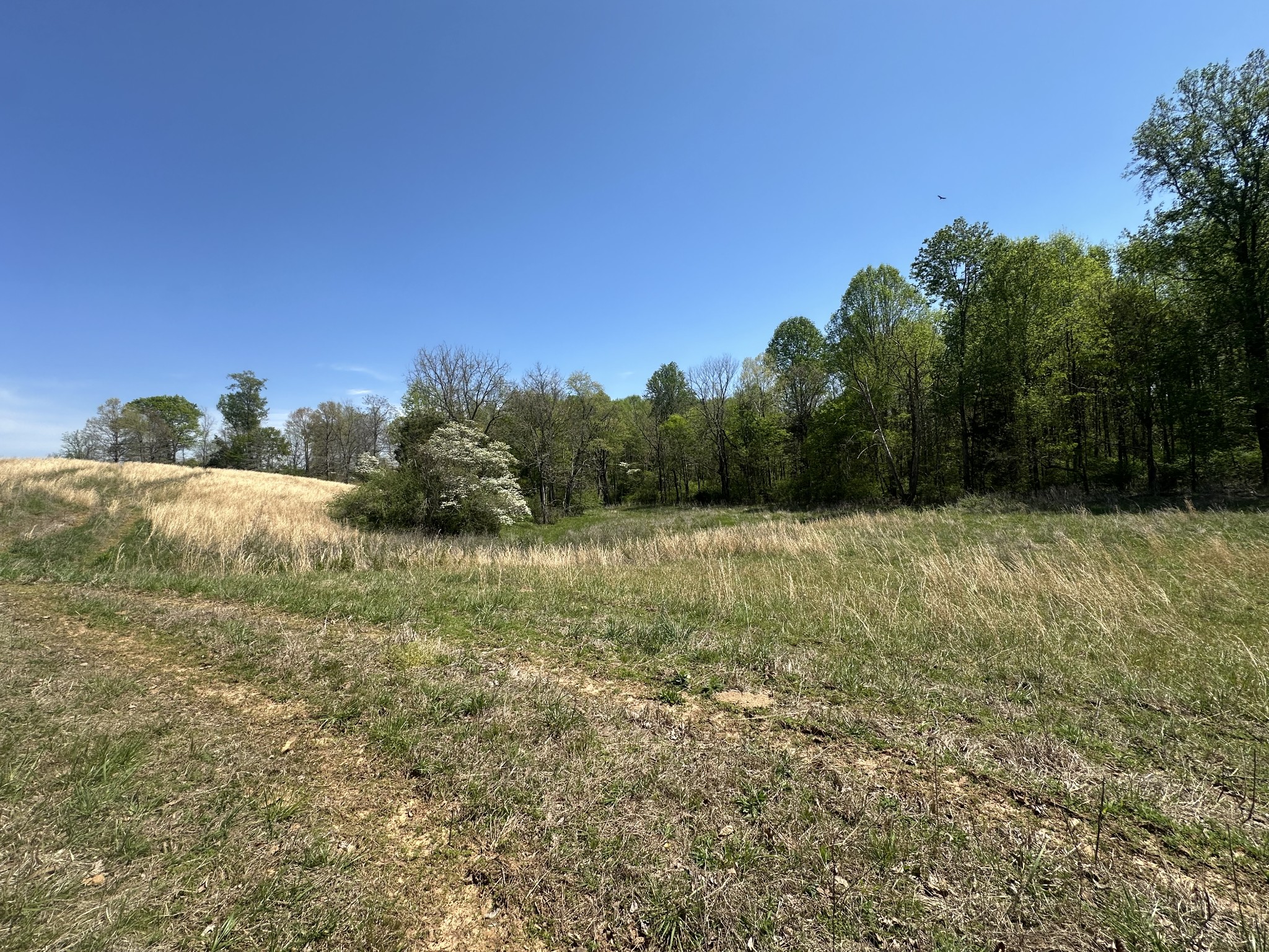515 Jericho Road Quebeck TN 38579