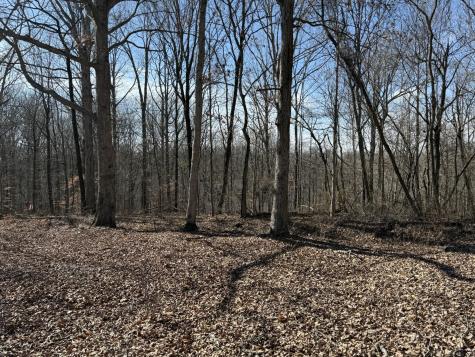 0 Hester Beasley Road Lot 2 Nashville TN 37221