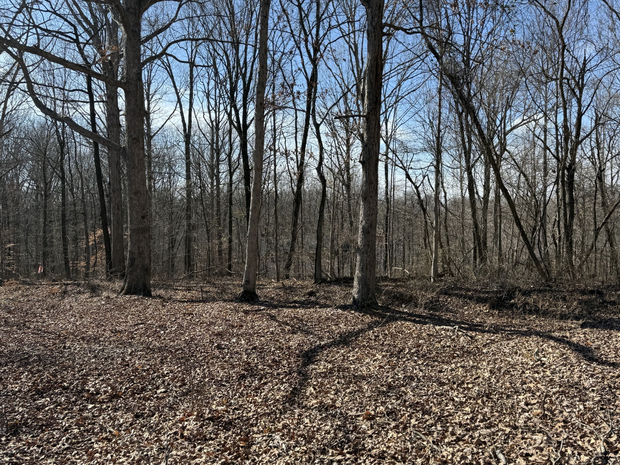 0 Hester Beasley Road Lot 2 Nashville TN 37221