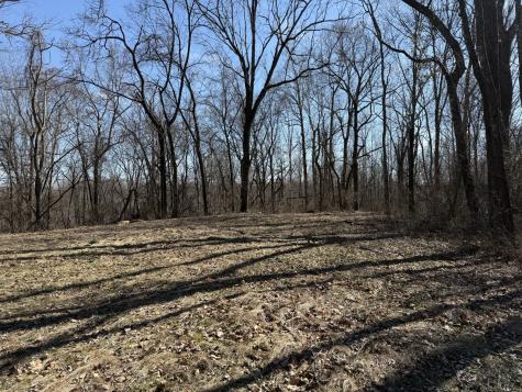 0 Hester Beasley Road Lot 2 Nashville TN 37221