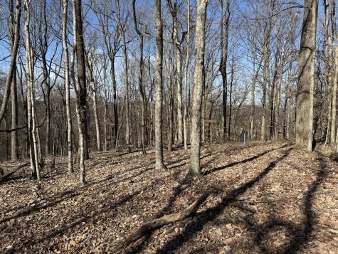 0 Hester Beasley Road Lot 2 Nashville TN 37221