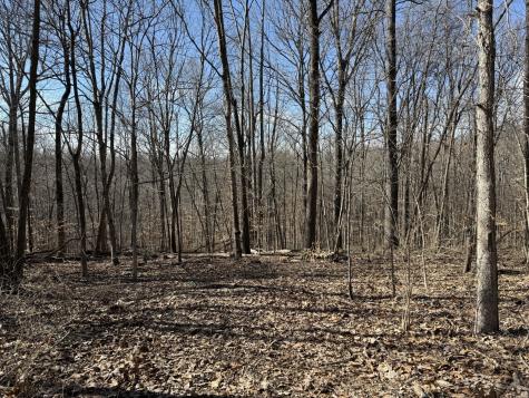 0 Hester Beasley Road Lot 2 Nashville TN 37221