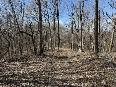 0 Hester Beasley Road Lot 2 Nashville TN 37221