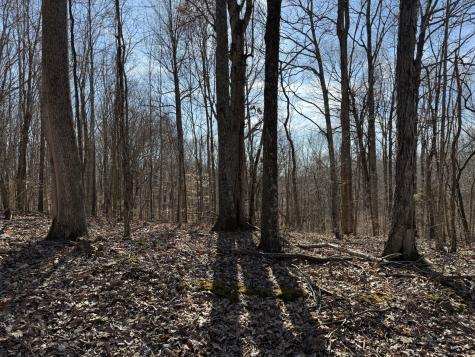 0 Hester Beasley Road Lot 2 Nashville TN 37221