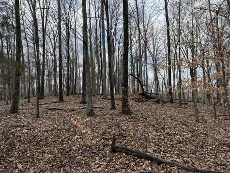 0 Hester Beasley Road Lot 2 Nashville TN 37221