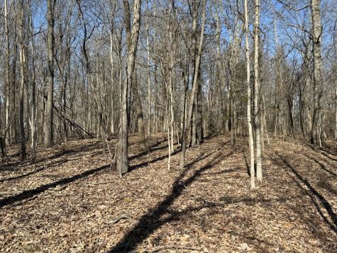 0 Hester Beasley Road Lot 2 Nashville TN 37221