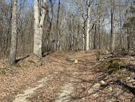 0 Hester Beasley Road Lot 2 Nashville TN 37221