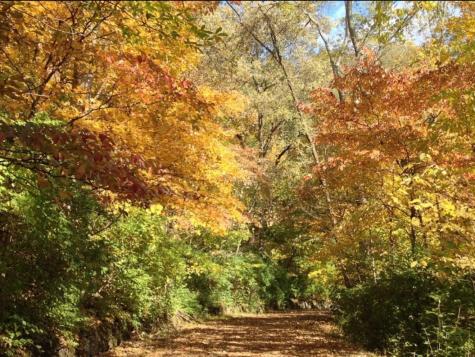 0 Hester Beasley Road Lot 2 Nashville TN 37221