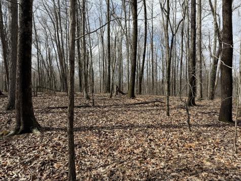 0 Hester Beasley Road Lot 2 Nashville TN 37221