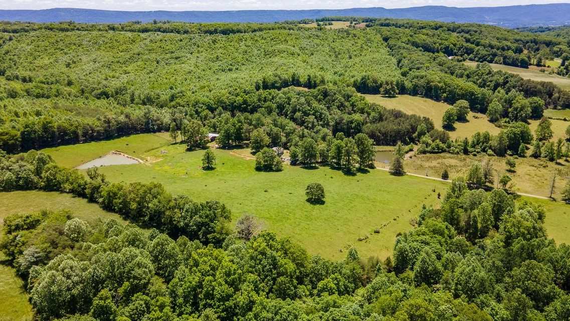 2216 Cove Hill Road Pikeville TN 37367