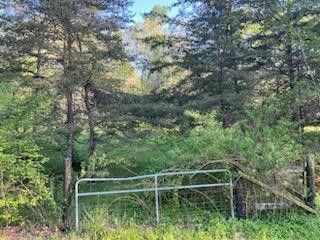 2216 Cove Hill Road Pikeville TN 37367