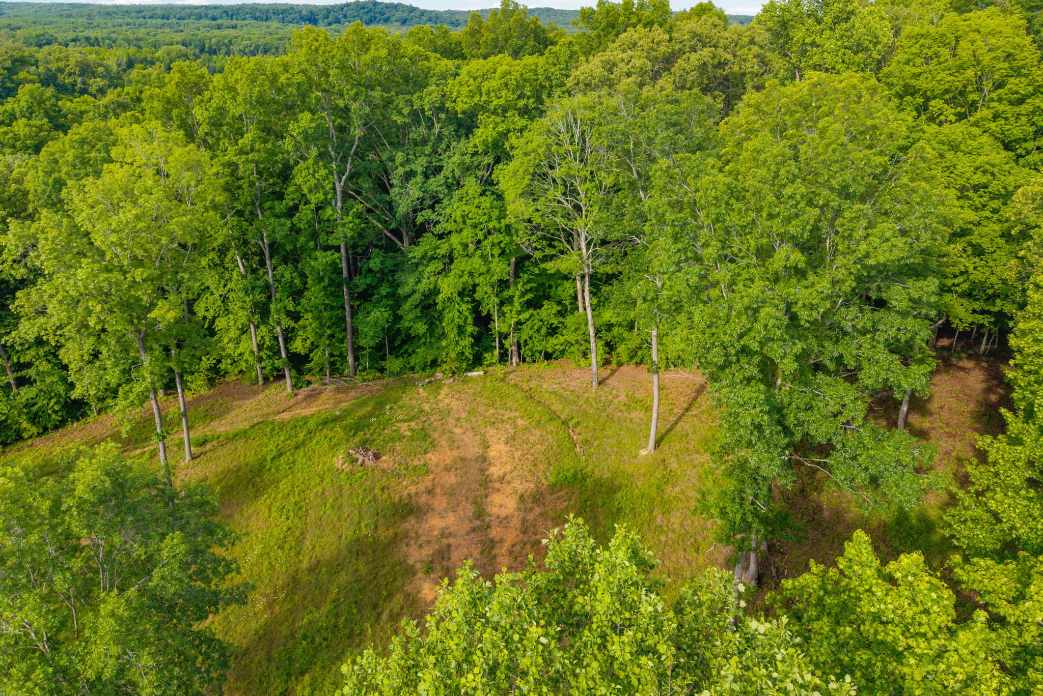 164 Lewis Circle Dover TN 37058