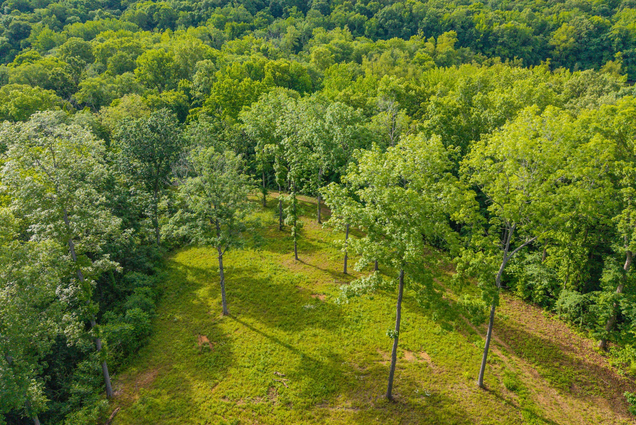 164 Lewis Circle Dover TN 37058
