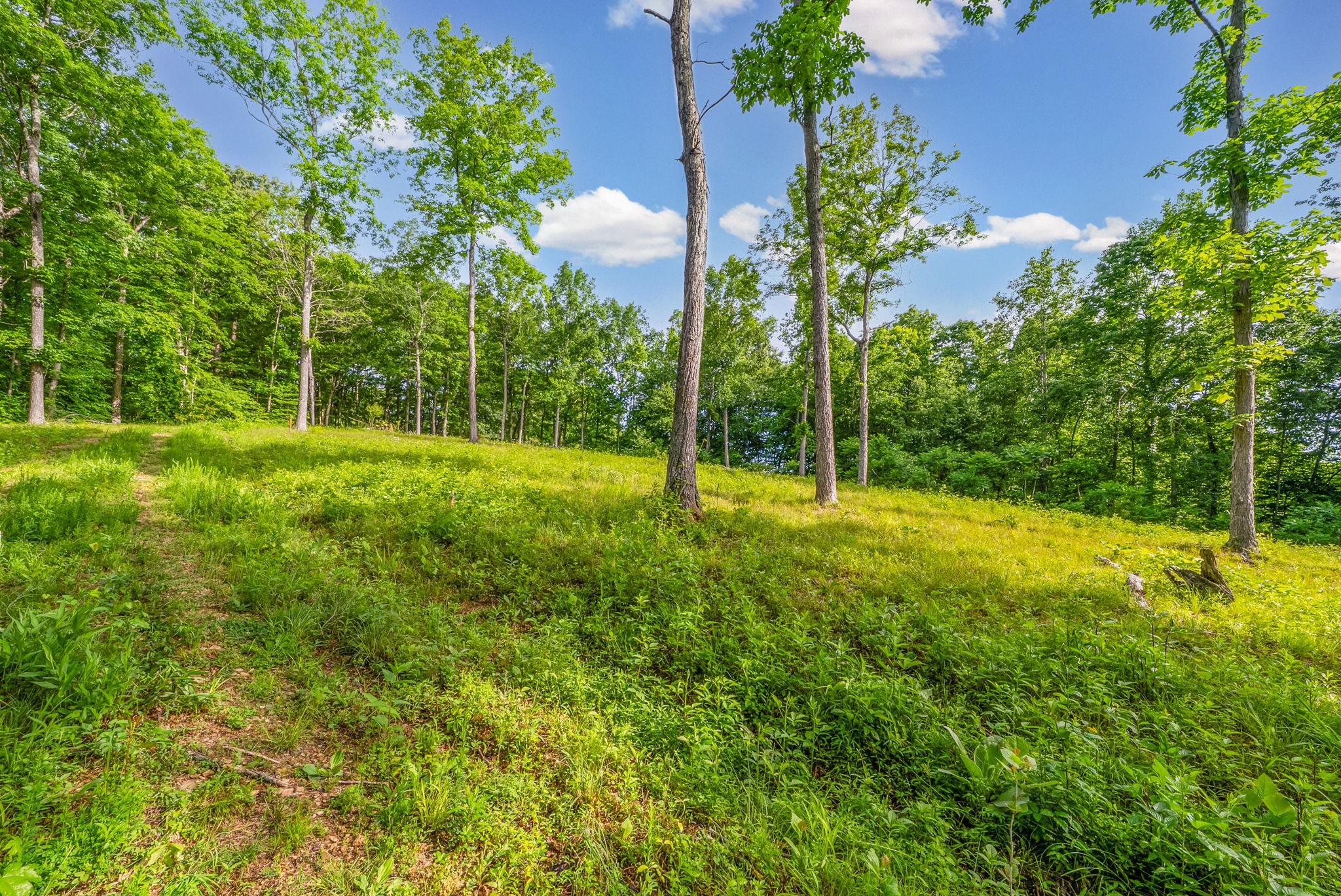164 Lewis Circle Dover TN 37058