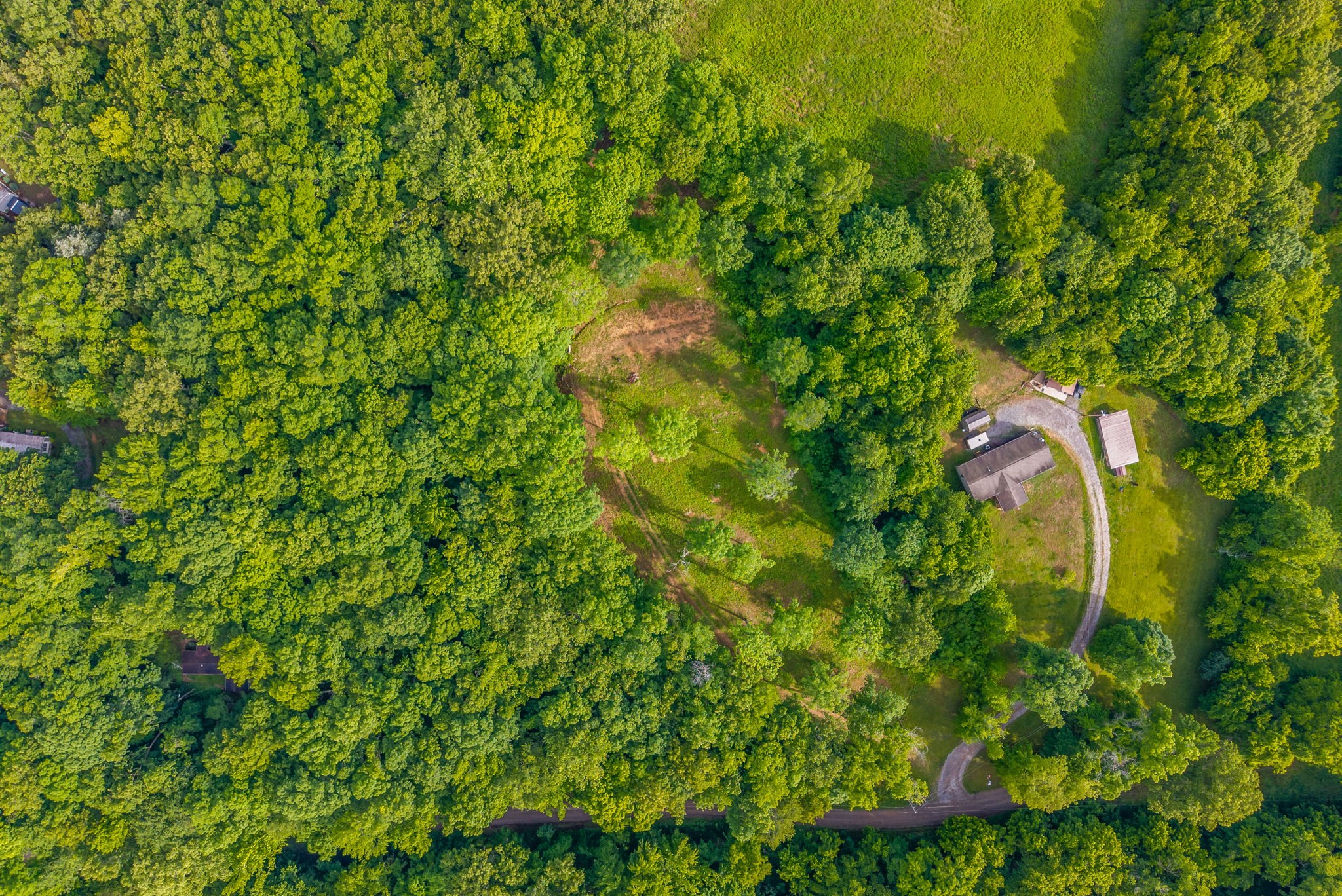 164 Lewis Circle Dover TN 37058