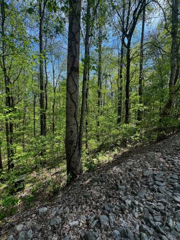 0 Lola Drive Smithville TN 37166