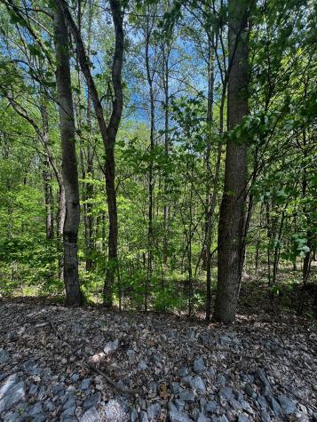 0 Lola Drive Smithville TN 37166